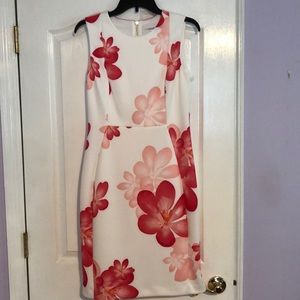 Calvin Klein Dress
